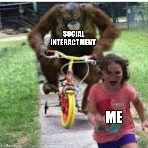 meme | SOCIAL INTERACTMENT; ME | image tagged in ape on bike | made w/ Imgflip meme maker