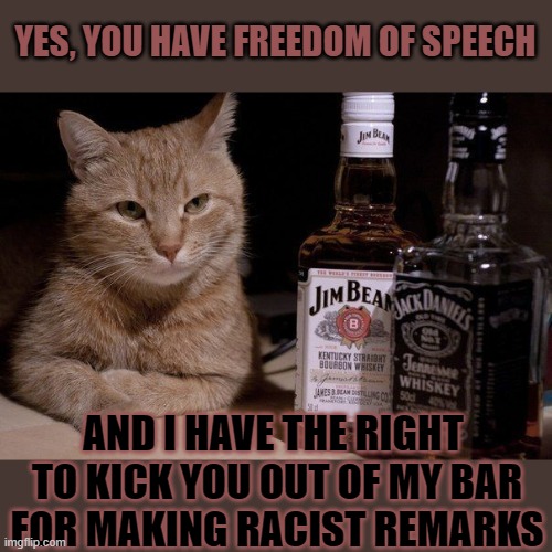Yes, you have freedom of speech | YES, YOU HAVE FREEDOM OF SPEECH; AND I HAVE THE RIGHT 
TO KICK YOU OUT OF MY BAR
FOR MAKING RACIST REMARKS | image tagged in freedom of speech,bartender,racism | made w/ Imgflip meme maker