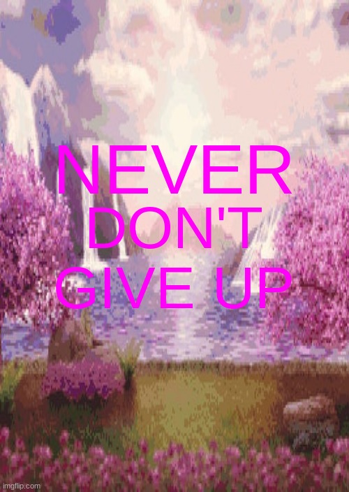 NEVER; DON'T GIVE UP | made w/ Imgflip meme maker