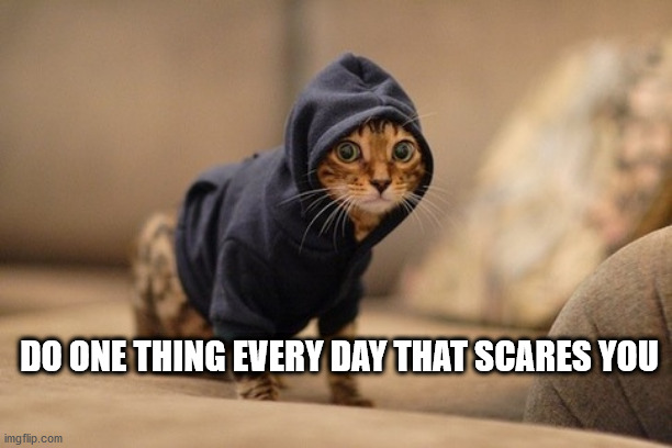 Hoody Cat | DO ONE THING EVERY DAY THAT SCARES YOU | image tagged in memes,hoody cat | made w/ Imgflip meme maker