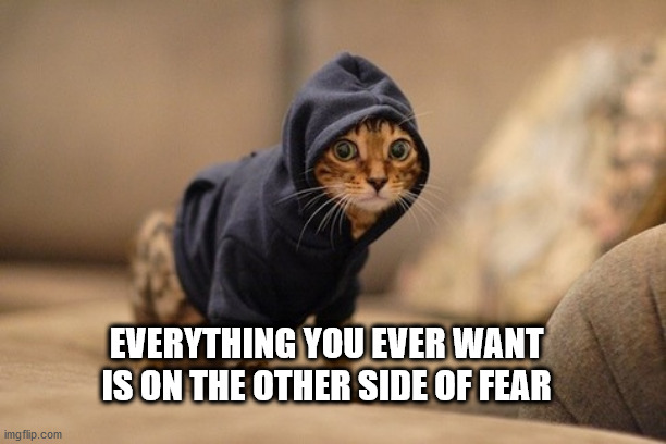 Hoody Cat | EVERYTHING YOU EVER WANT IS ON THE OTHER SIDE OF FEAR | image tagged in memes,hoody cat | made w/ Imgflip meme maker