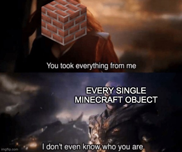 You took everything from me - I don't even know who you are |  EVERY SINGLE MINECRAFT OBJECT | image tagged in you took everything from me - i don't even know who you are | made w/ Imgflip meme maker
