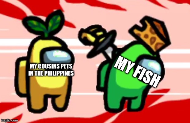 MY COUSINS PETS IN THE PHILIPPINES MY FISH | image tagged in among us stab | made w/ Imgflip meme maker