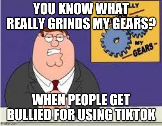 stop bullying other people that use TikTok |  YOU KNOW WHAT REALLY GRINDS MY GEARS? WHEN PEOPLE GET BULLIED FOR USING TIKTOK | image tagged in you know what really grinds my gears,bullying | made w/ Imgflip meme maker