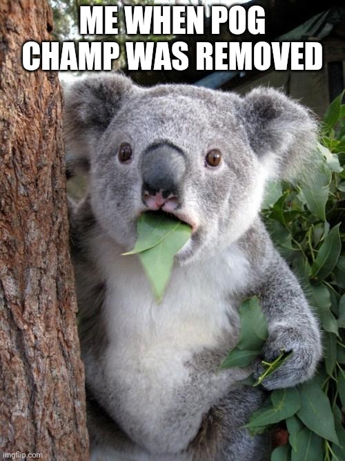 rip Pog Champ | ME WHEN POG CHAMP WAS REMOVED | image tagged in memes,surprised koala | made w/ Imgflip meme maker