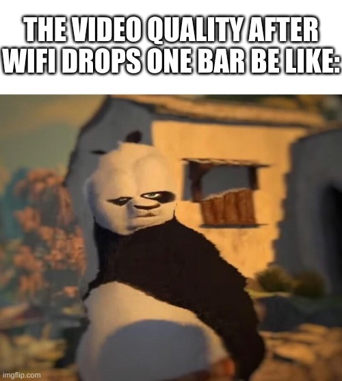 idek | THE VIDEO QUALITY AFTER WIFI DROPS ONE BAR BE LIKE: | image tagged in memes,funny,kung fu panda,drunk,wifi,videos | made w/ Imgflip meme maker