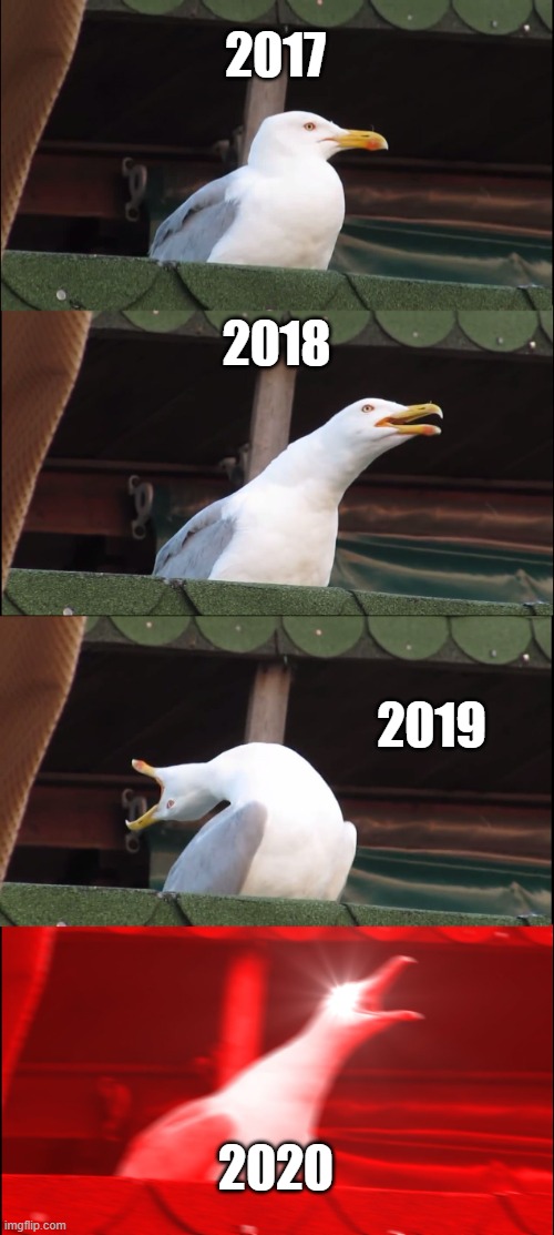 True | 2017; 2018; 2019; 2020 | image tagged in memes,inhaling seagull | made w/ Imgflip meme maker