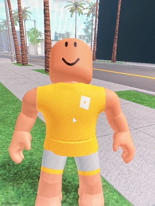 This is aydencenturyfox. He is looking at his beautiful creation. What did he build? | image tagged in roblox | made w/ Imgflip meme maker