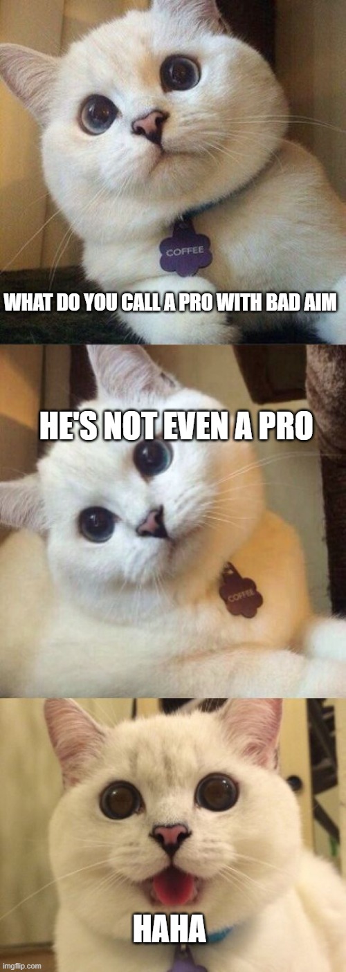 what a kitty | WHAT DO YOU CALL A PRO WITH BAD AIM; HE'S NOT EVEN A PRO; HAHA | image tagged in bad pun cat,memes | made w/ Imgflip meme maker
