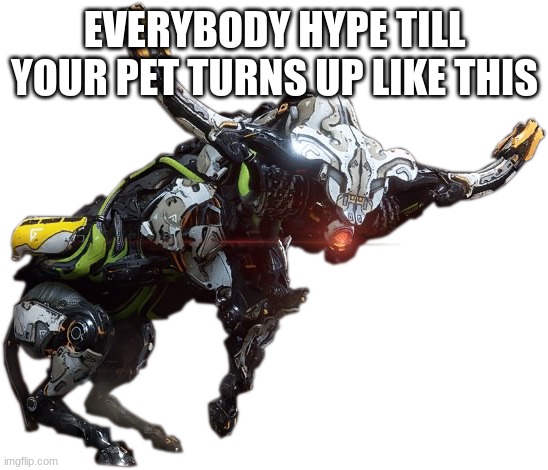 #everybody hype till your pet turns up like this | EVERYBODY HYPE TILL YOUR PET TURNS UP LIKE THIS | image tagged in everyone loses their minds | made w/ Imgflip meme maker