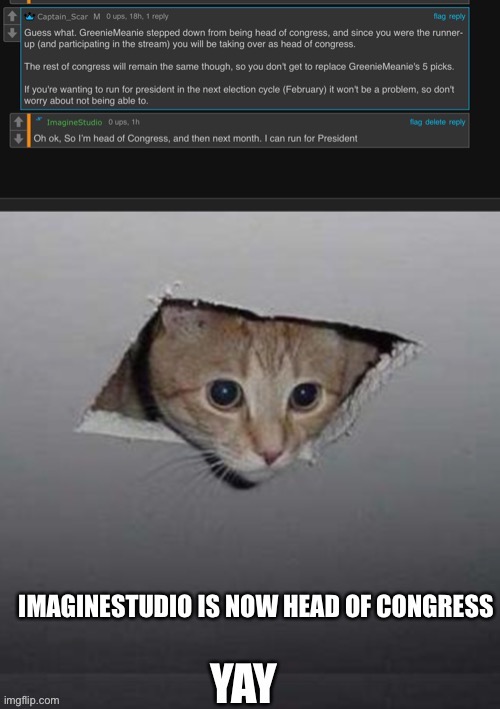 I’m Head Of Congress now, Cuz GreenieMeanie stepped down (More Info Below) | image tagged in yay | made w/ Imgflip meme maker