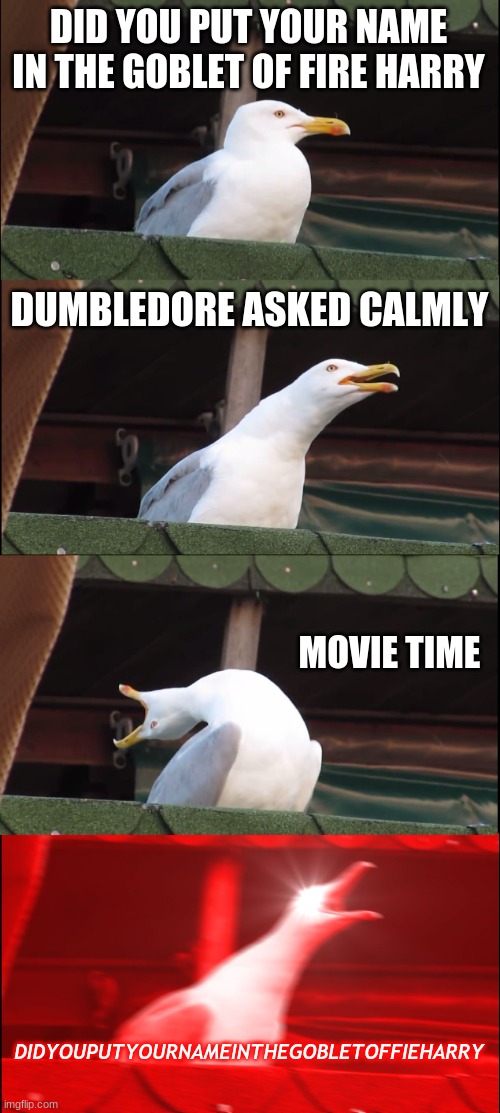dumbludseagul | DID YOU PUT YOUR NAME IN THE GOBLET OF FIRE HARRY; DUMBLEDORE ASKED CALMLY; MOVIE TIME; DIDYOUPUTYOURNAMEINTHEGOBLETOFFIEHARRY | image tagged in memes,inhaling seagull | made w/ Imgflip meme maker