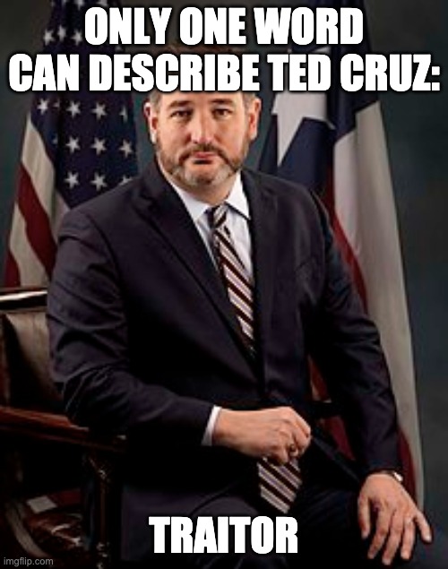 ONLY ONE WORD CAN DESCRIBE TED CRUZ:; TRAITOR | image tagged in ted cruz | made w/ Imgflip meme maker