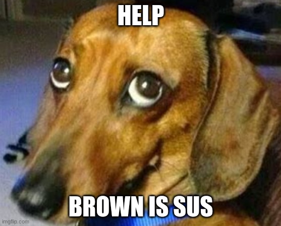 Brown no | HELP; BROWN IS SUS | image tagged in dog,among us | made w/ Imgflip meme maker