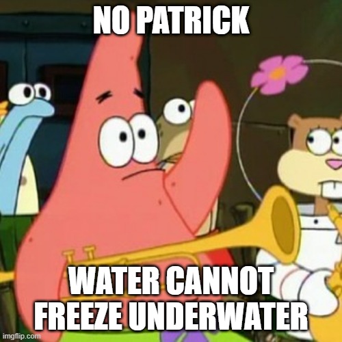 No Patrick Meme | NO PATRICK; WATER CANNOT FREEZE UNDERWATER | image tagged in memes,no patrick | made w/ Imgflip meme maker