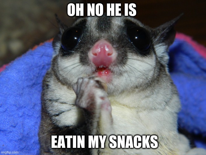 Oh no | OH NO HE IS; EATIN MY SNACKS | image tagged in snacks | made w/ Imgflip meme maker