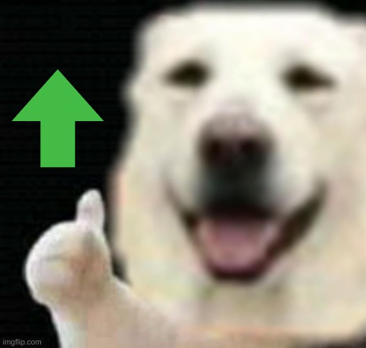 Doggie Thumbs Up | image tagged in doggie thumbs up | made w/ Imgflip meme maker