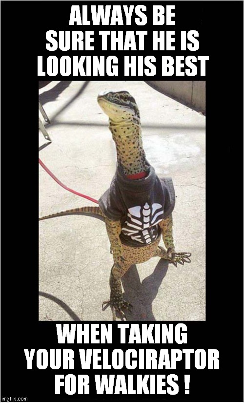 Pride In Your Pet ! | ALWAYS BE SURE THAT HE IS LOOKING HIS BEST; WHEN TAKING YOUR VELOCIRAPTOR FOR WALKIES ! | image tagged in fun,velociraptor,walkies | made w/ Imgflip meme maker