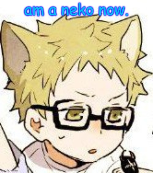 majik | am a neko now. | made w/ Imgflip meme maker
