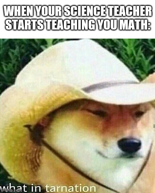 What in tarnation dog | WHEN YOUR SCIENCE TEACHER STARTS TEACHING YOU MATH: | image tagged in what in tarnation dog | made w/ Imgflip meme maker