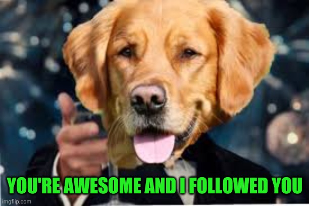 YOU'RE AWESOME AND I FOLLOWED YOU | made w/ Imgflip meme maker