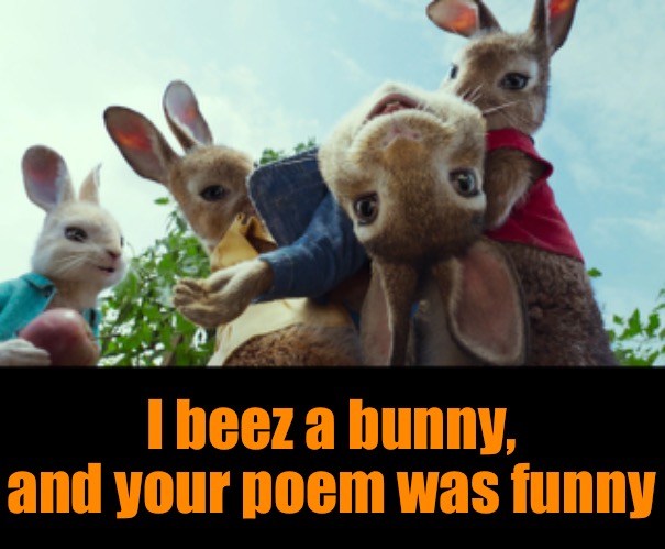 I beez a bunny, and your poem was funny | made w/ Imgflip meme maker