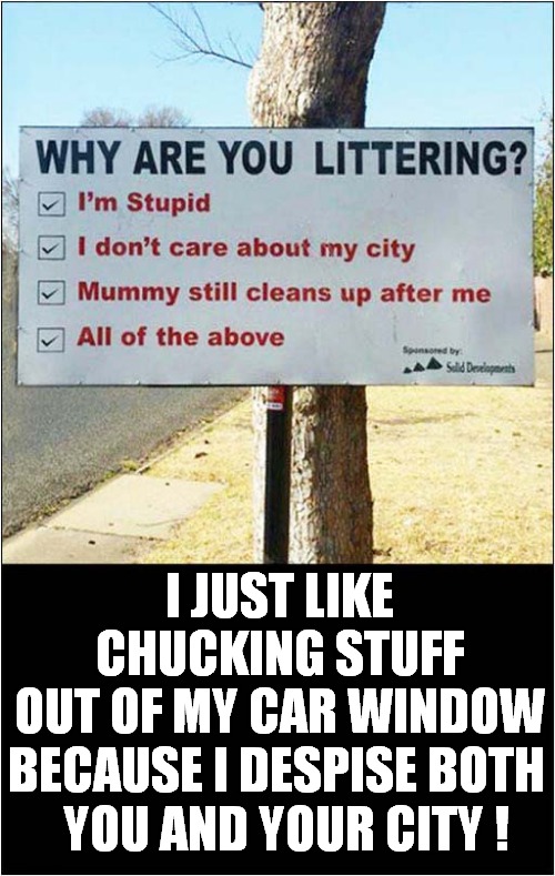 Don't Tell Me What To Do ! | I JUST LIKE CHUCKING STUFF OUT OF MY CAR WINDOW; BECAUSE I DESPISE BOTH; YOU AND YOUR CITY ! | image tagged in fun,littering | made w/ Imgflip meme maker