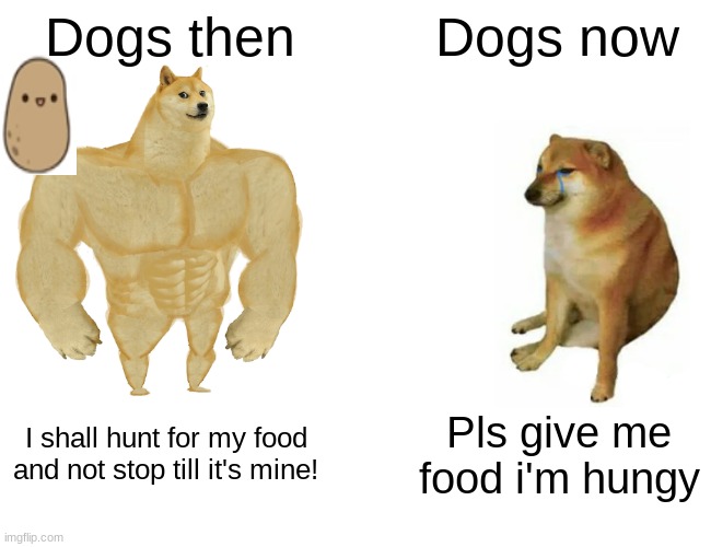 Buff Doge vs. Cheems | Dogs then; Dogs now; I shall hunt for my food and not stop till it's mine! Pls give me food i'm hungy | image tagged in memes,buff doge vs cheems | made w/ Imgflip meme maker