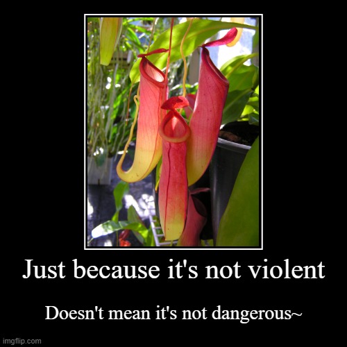 Non-violent But Dangerous | image tagged in demotivationals,nepenthes,non-violent,dangerous,self-reminder | made w/ Imgflip demotivational maker