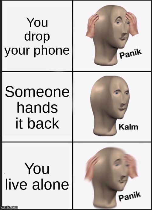 pAnIk | You drop your phone; Someone hands it back; You live alone | image tagged in memes,panik kalm panik | made w/ Imgflip meme maker