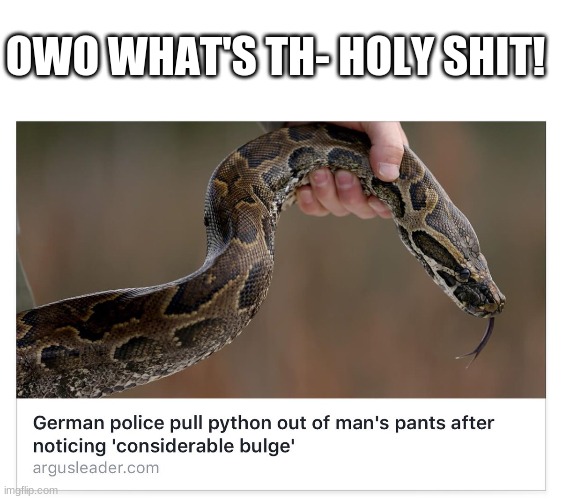 OWO WHAT'S TH- HOLY SHIT! | image tagged in memes,blank transparent square | made w/ Imgflip meme maker