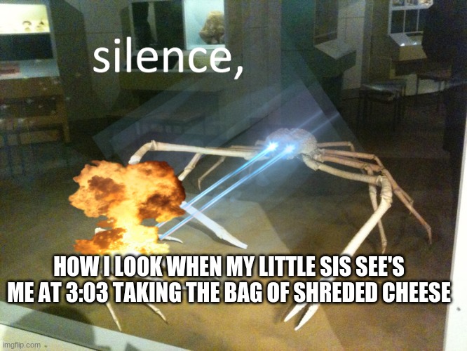 silence crab | HOW I LOOK WHEN MY LITTLE SIS SEE'S ME AT 3:03 TAKING THE BAG OF SHREDED CHEESE | image tagged in silence crab | made w/ Imgflip meme maker