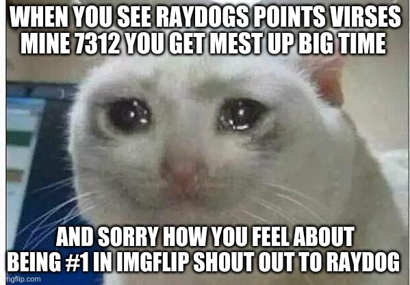 crying cat | WHEN YOU SEE RAYDOGS POINTS VIRSES MINE 7312 YOU GET MEST UP BIG TIME; AND SORRY HOW YOU FEEL ABOUT BEING #1 IN IMGFLIP SHOUT OUT TO RAYDOG | image tagged in crying cat,raydog | made w/ Imgflip meme maker