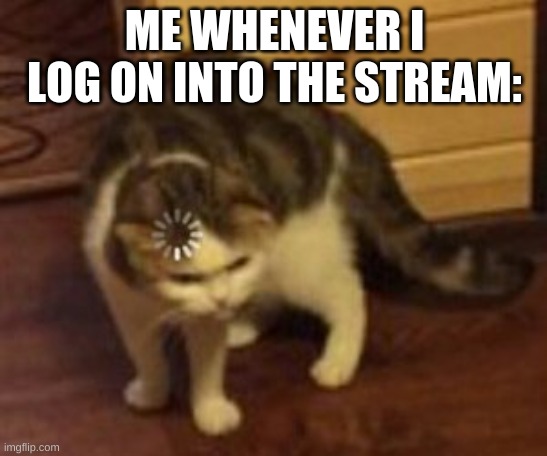 Loading cat | ME WHENEVER I LOG ON INTO THE STREAM: | image tagged in loading cat | made w/ Imgflip meme maker