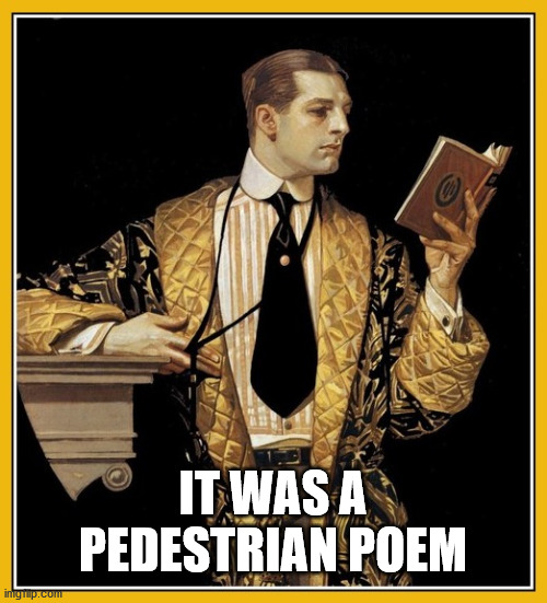 Poetry dude | IT WAS A PEDESTRIAN POEM | image tagged in poetry dude | made w/ Imgflip meme maker