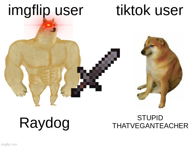 doesnt this make sense beacuse this is a dog meme Raydog.. Dog? get it? | imgflip user; tiktok user; Raydog; STUPID THATVEGANTEACHER | image tagged in memes,buff doge vs cheems | made w/ Imgflip meme maker