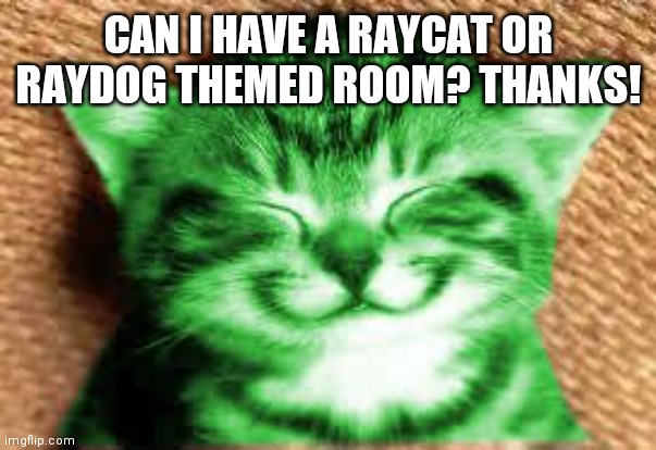 It would make me happy! | CAN I HAVE A RAYCAT OR RAYDOG THEMED ROOM? THANKS! | image tagged in happy raycat | made w/ Imgflip meme maker