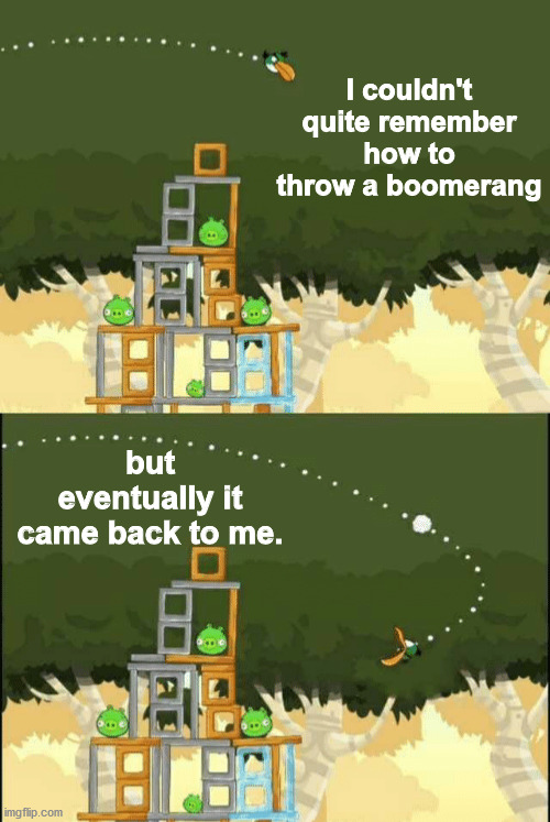 Angry Birds Hal but | I couldn't quite remember how to throw a boomerang; but eventually it came back to me. | image tagged in angry birds hal but,eye roll | made w/ Imgflip meme maker