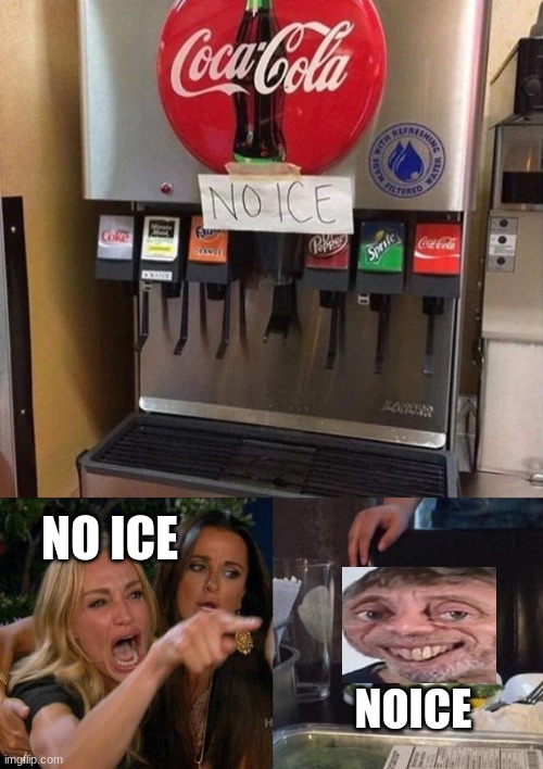 noice | NO ICE; NOICE | image tagged in woman screaming at cat,repost | made w/ Imgflip meme maker