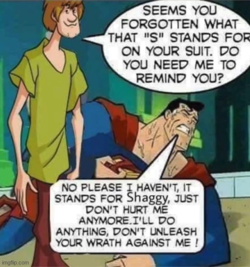 THE SHAGGY MEME SHALL BE REVIVED | image tagged in comics/cartoons,shaggy meme | made w/ Imgflip meme maker