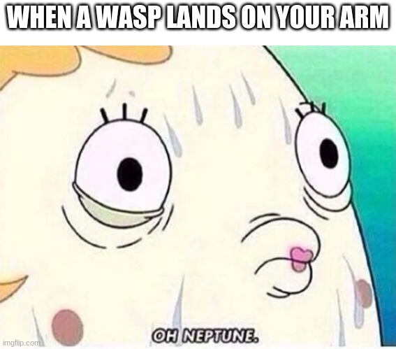 wasp | WHEN A WASP LANDS ON YOUR ARM | image tagged in oh neptune,funny,memes,funny memes,relatable,wasp | made w/ Imgflip meme maker