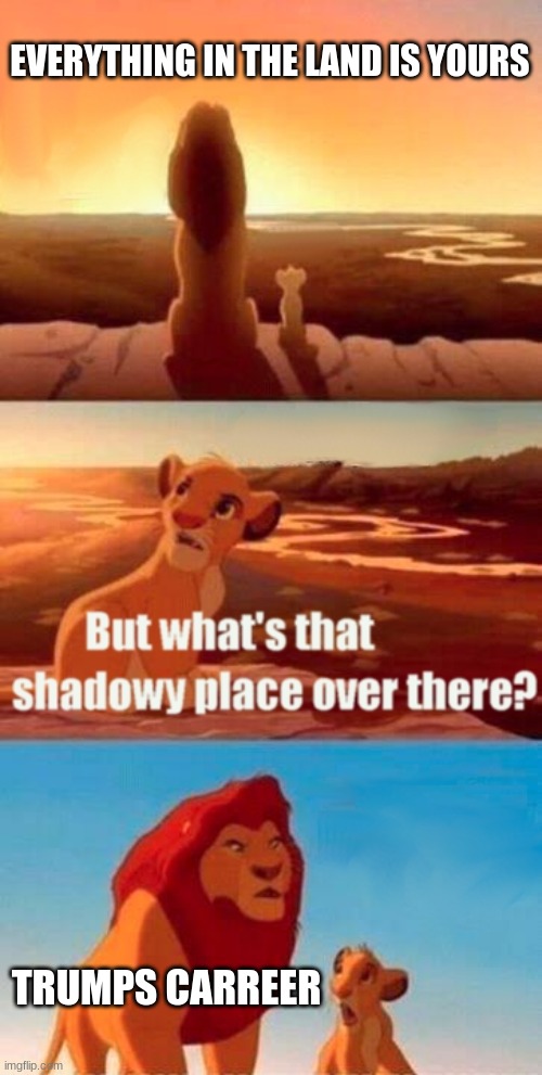 Simba Shadowy Place | EVERYTHING IN THE LAND IS YOURS; TRUMPS CARREER | image tagged in memes,simba shadowy place | made w/ Imgflip meme maker