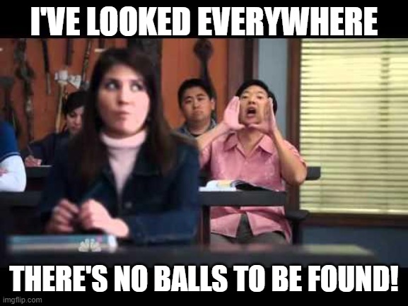 ha gay | I'VE LOOKED EVERYWHERE THERE'S NO BALLS TO BE FOUND! | image tagged in ha gay | made w/ Imgflip meme maker