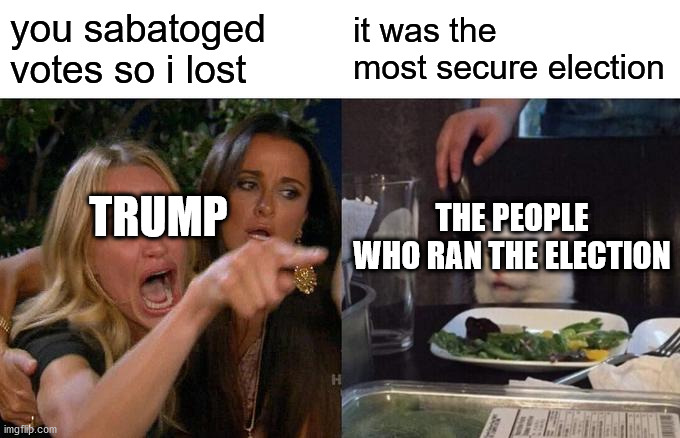 Woman Yelling At Cat | you sabatoged votes so i lost; it was the most secure election; TRUMP; THE PEOPLE WHO RAN THE ELECTION | image tagged in memes,woman yelling at cat | made w/ Imgflip meme maker