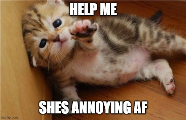 Help Me Kitten | HELP ME SHES ANNOYING AF | image tagged in help me kitten | made w/ Imgflip meme maker