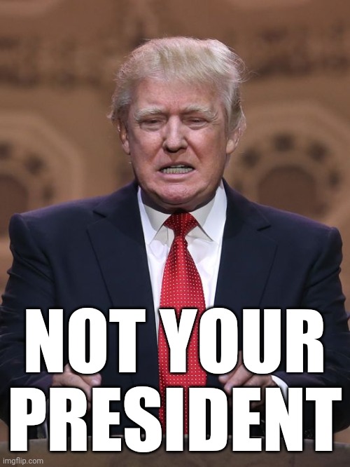 Donald Trump | NOT YOUR PRESIDENT | image tagged in donald trump,failure,loser,get over it | made w/ Imgflip meme maker