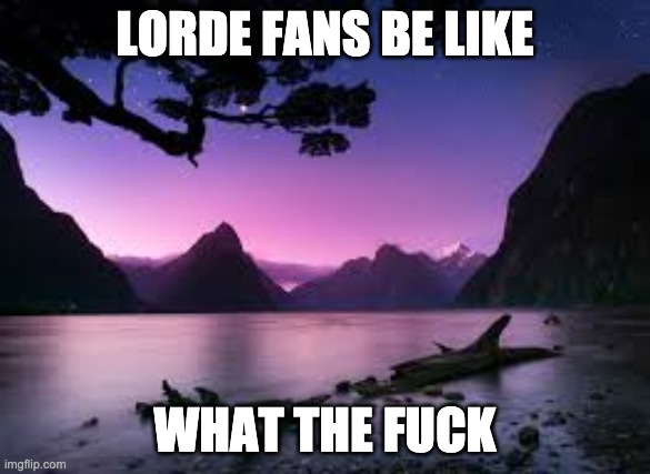 LORDE FANS BE LIKE; WHAT THE FUCK | image tagged in lorde | made w/ Imgflip meme maker