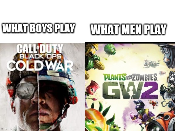 WHAT MEN PLAY; WHAT BOYS PLAY | image tagged in plants vs zombies,call of duty | made w/ Imgflip meme maker
