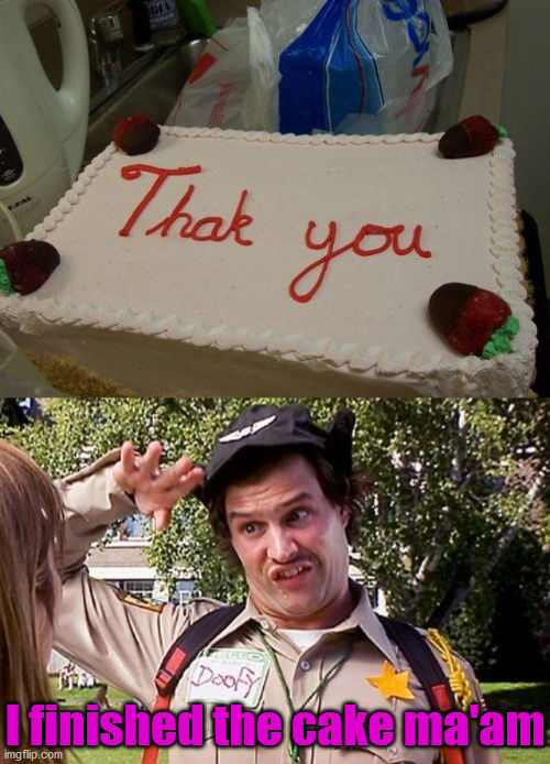 Grammar is not my thing, but even I can see this one. | I finished the cake ma'am | image tagged in special officer doofy,you had one job | made w/ Imgflip meme maker