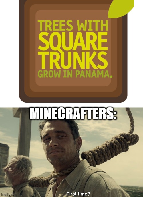 Minecrafters be like | MINECRAFTERS: | image tagged in blank white template,first time,minecraft,square | made w/ Imgflip meme maker